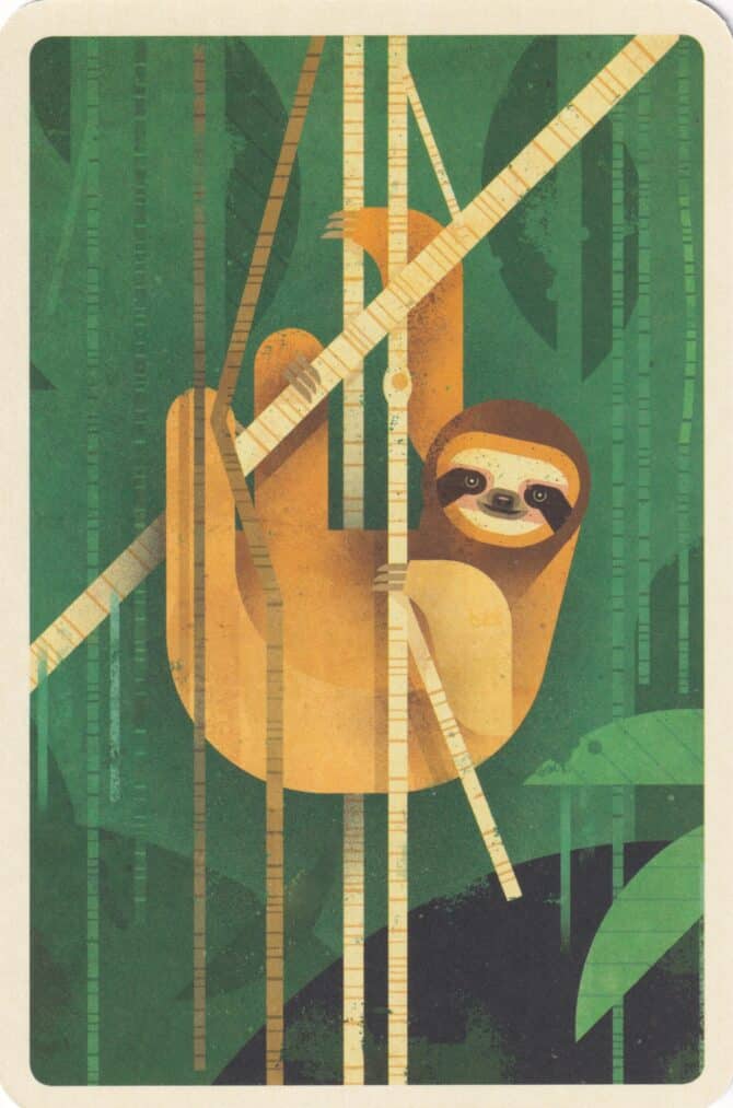 Brown-Throated Sloth in Jungle Illustrated Postcard