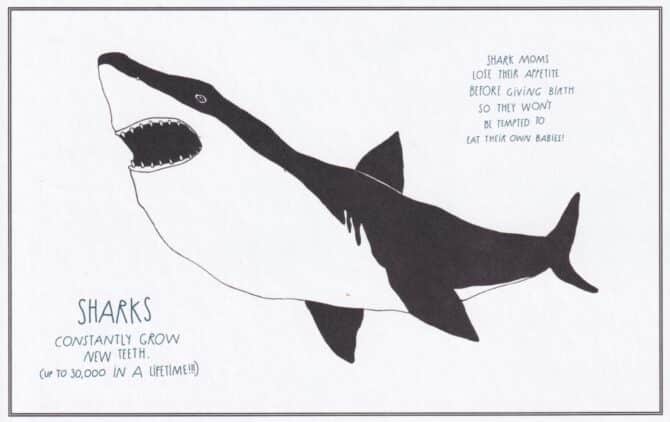 Shark Amazing Animal Facts Coloring Postcard