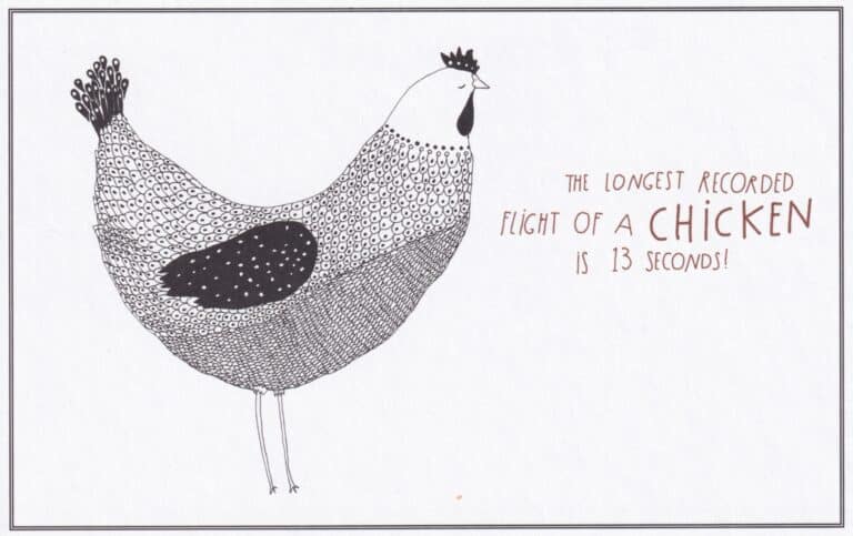 Chicken Coloring Postcard - The Postcard Maven