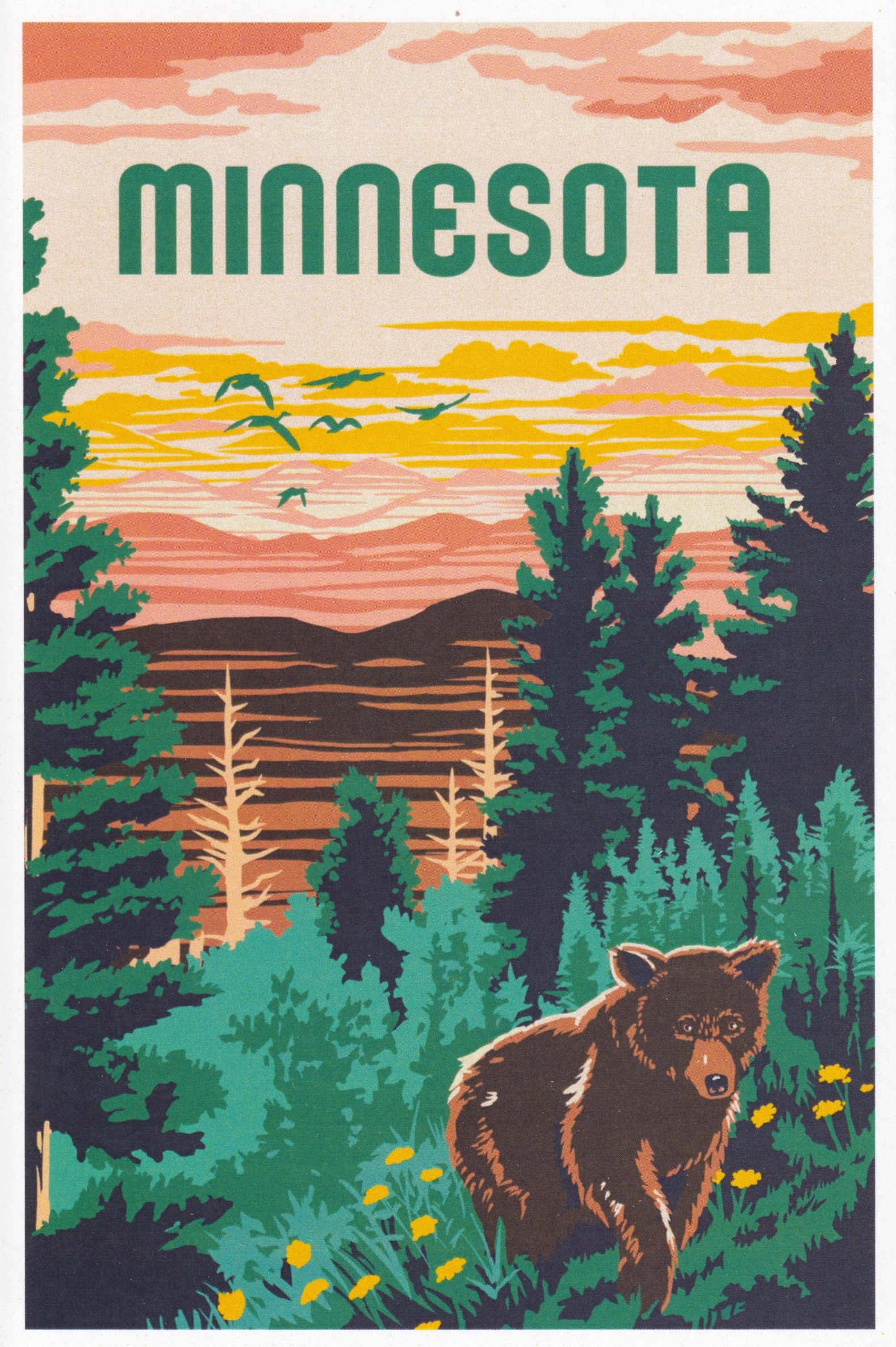 Minnesota Seal Souvenir Standard Postcard